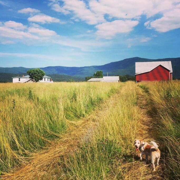 Madeline Farms Villa Luray Luaran gambar