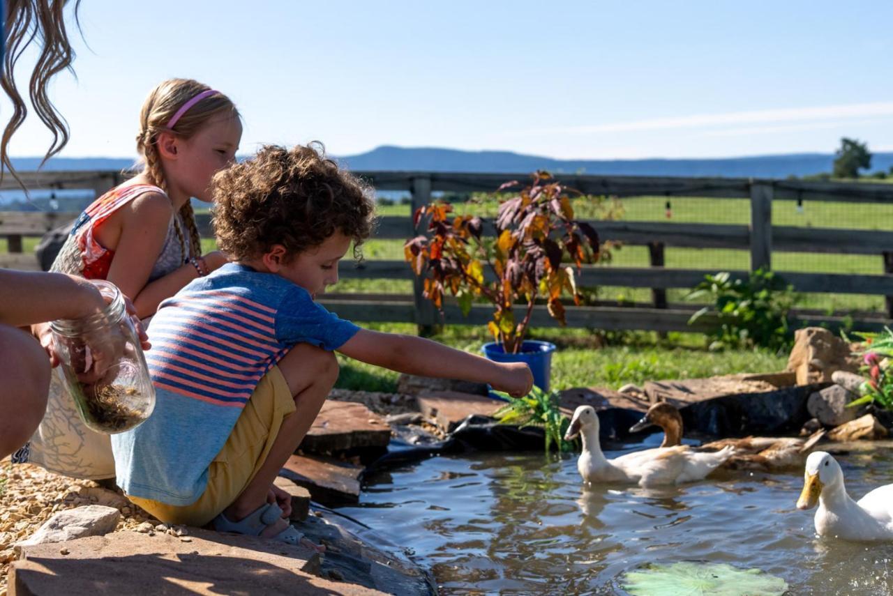 Madeline Farms Villa Luray Luaran gambar