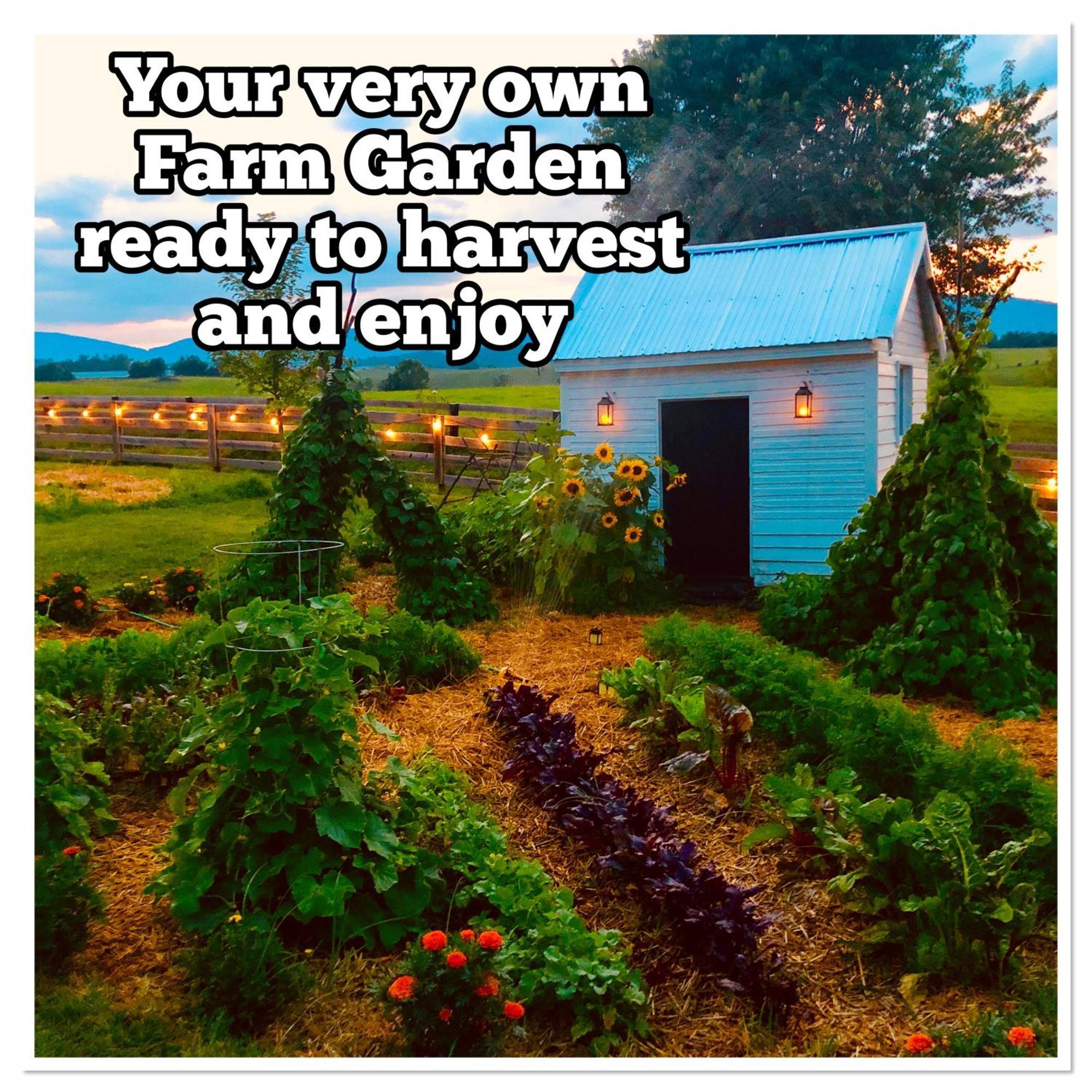 Madeline Farms Villa Luray Luaran gambar