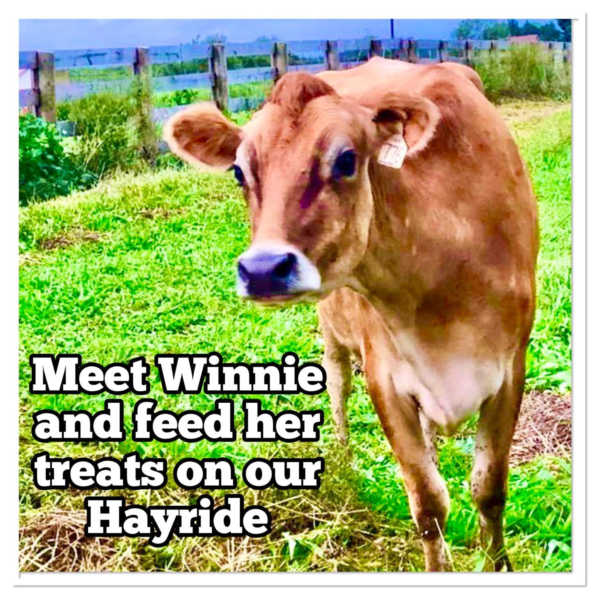 Madeline Farms Villa Luray Luaran gambar