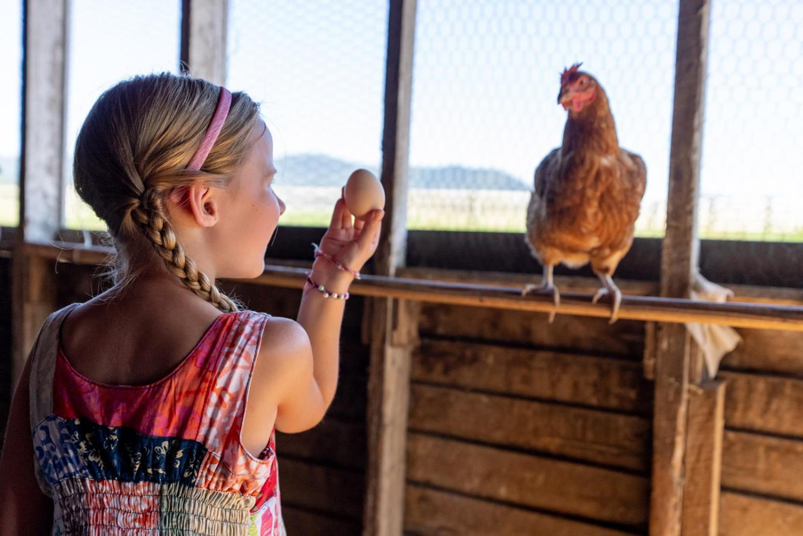 Madeline Farms Villa Luray Luaran gambar