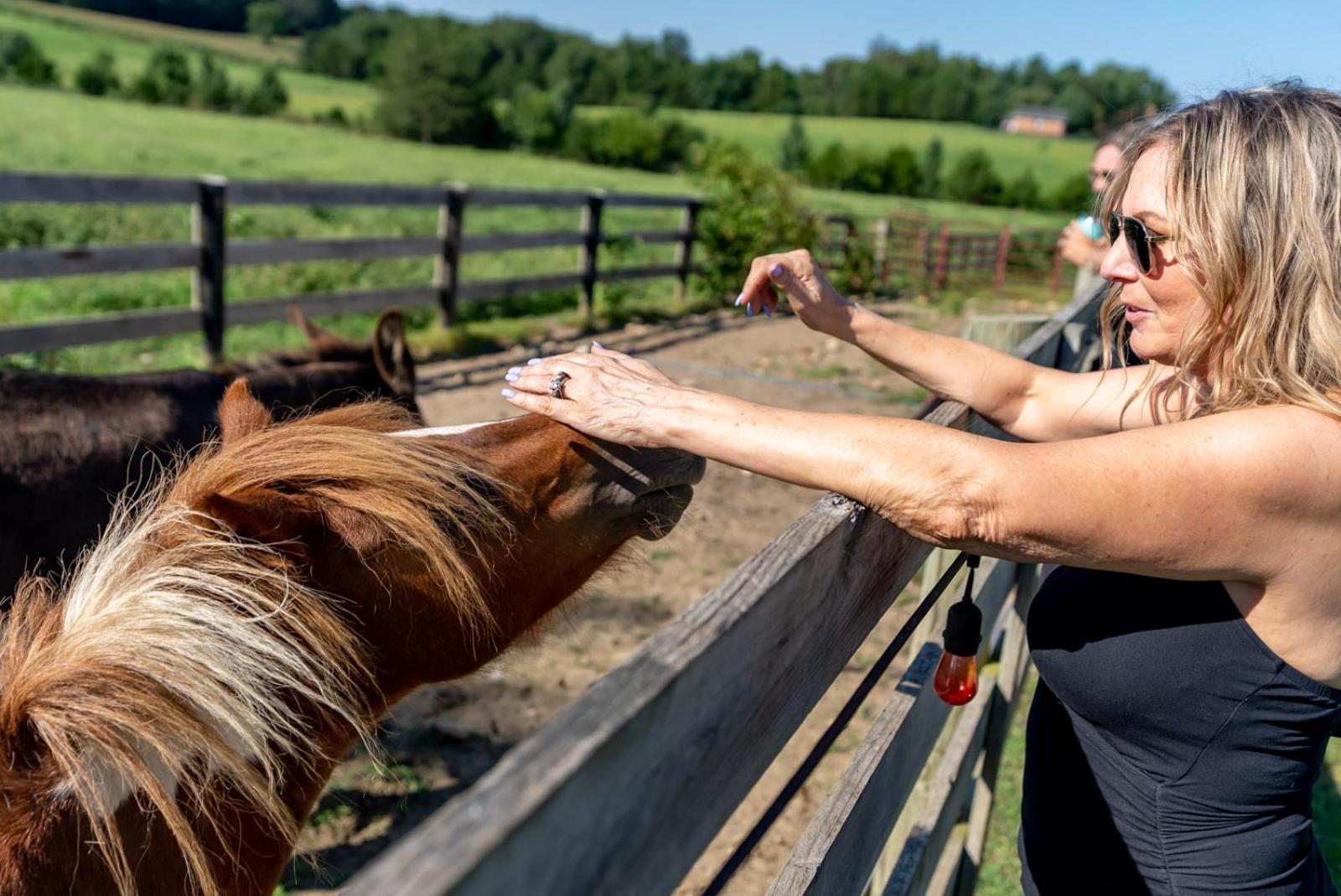 Madeline Farms Villa Luray Luaran gambar