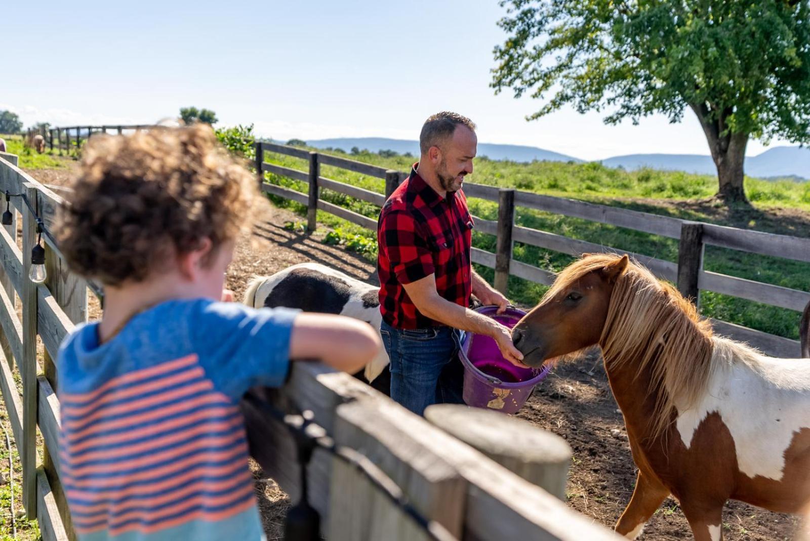Madeline Farms Villa Luray Luaran gambar